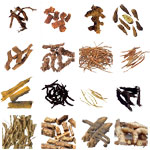 Jai Durga Herbs - Pure Botanical Herbs from Khari Baoli Delhi India, Wholesale Suppliers and Exporters of Pure Natural Herbs & Pure Ayurvedic Herbs